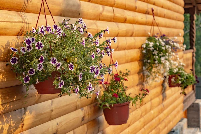 Фото Хутор Увильды