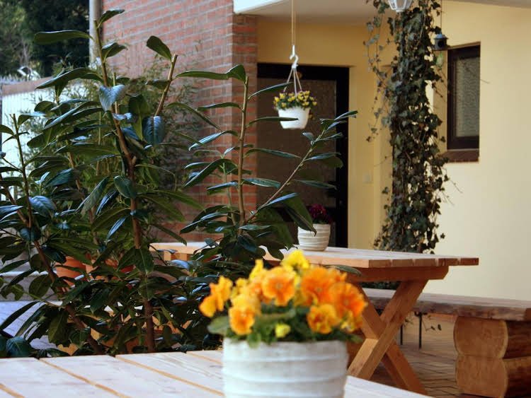 Фото 146487086751