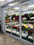 Green Paradise (Babushkina Street, 8к2), flower shop