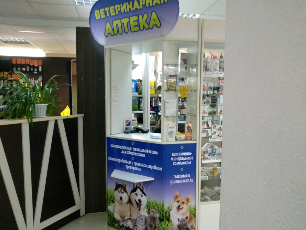 Котофей Зоомагазин Красноярск Интернет Магазин
