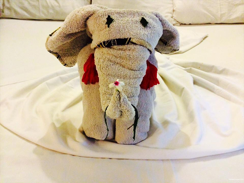 Фото Samaki Lodge