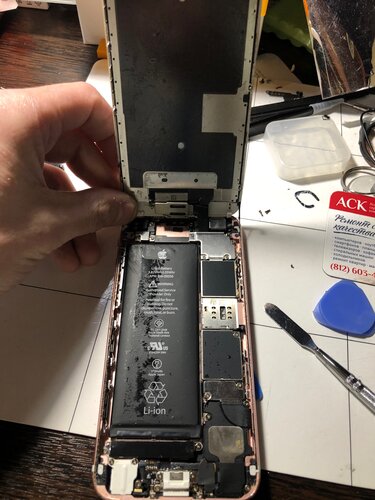 Поляк әйелдерінің жыныстық қатынасы