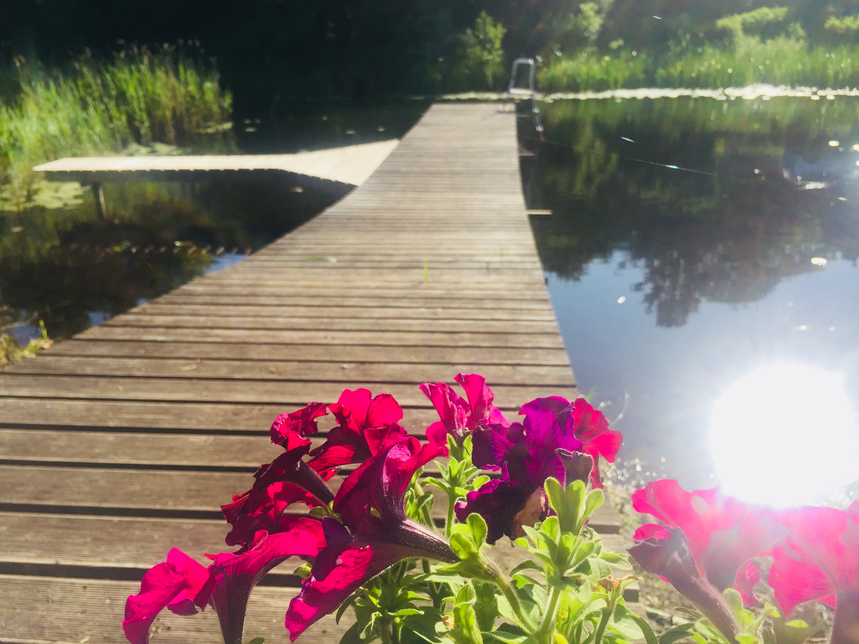 Фото Дом у реки