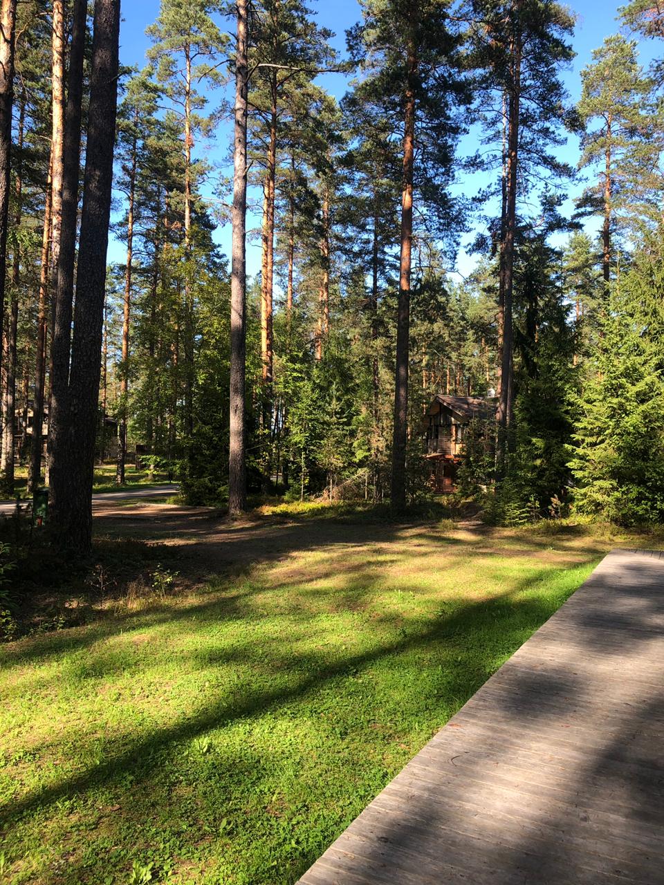 Фото Лесная Рапсодия