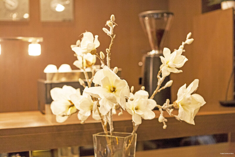 Фото Hotel Centrum