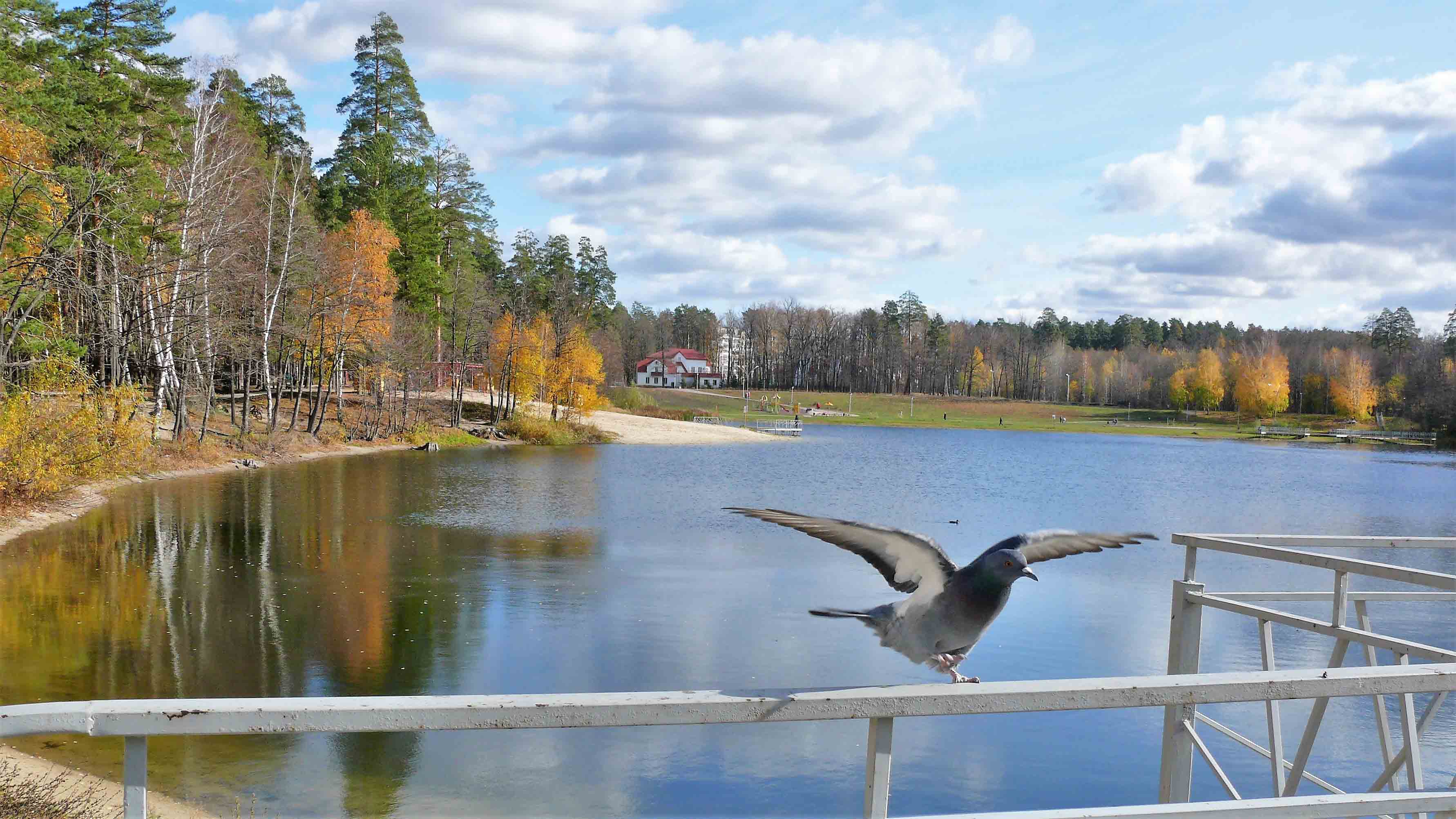 Фото Лесная