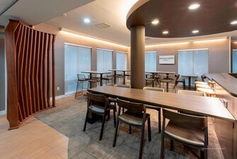 Фото SpringHill Suites by Marriott Rochester-Mayo Clinic/St Marys