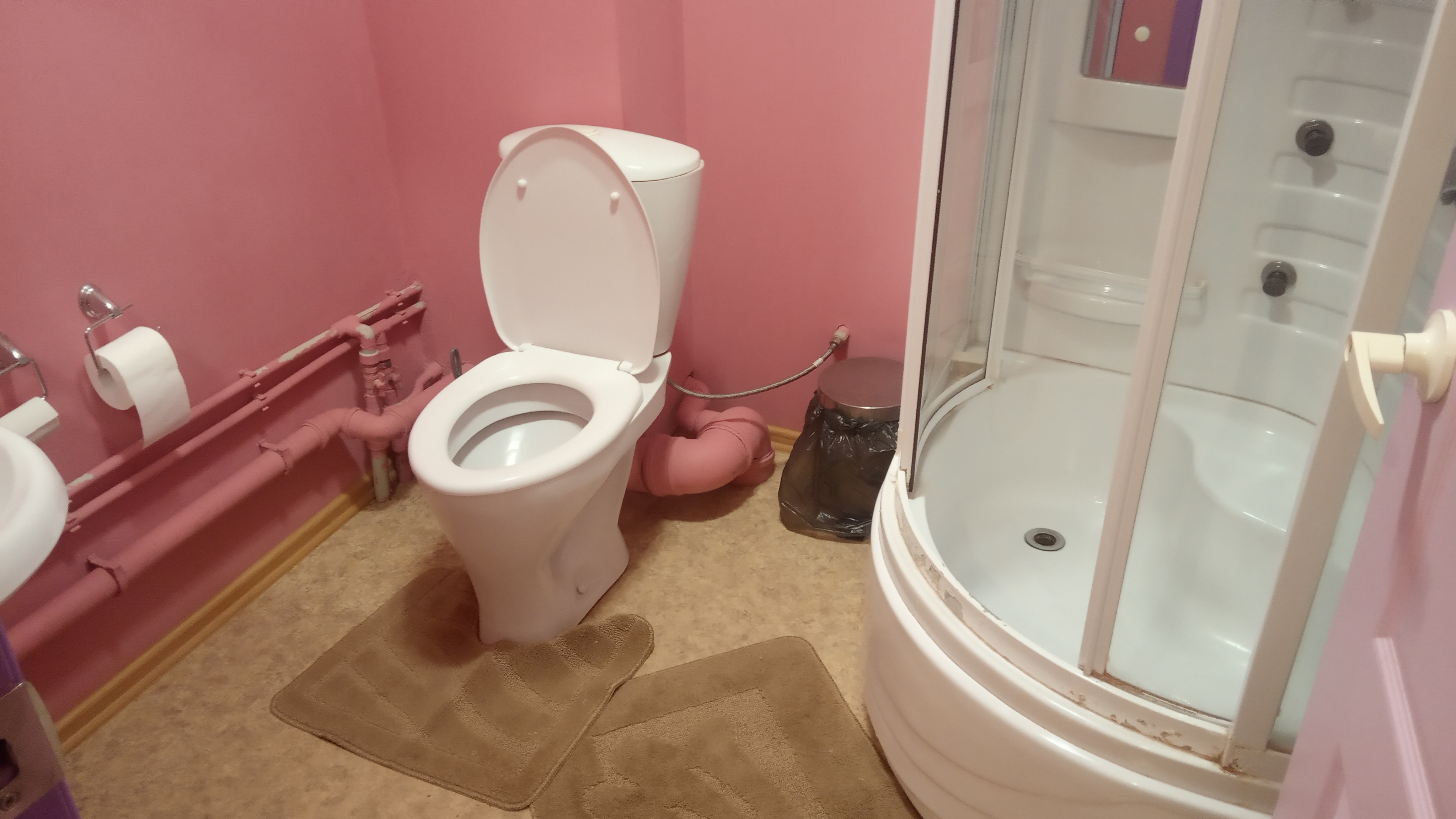 Фото Камелия