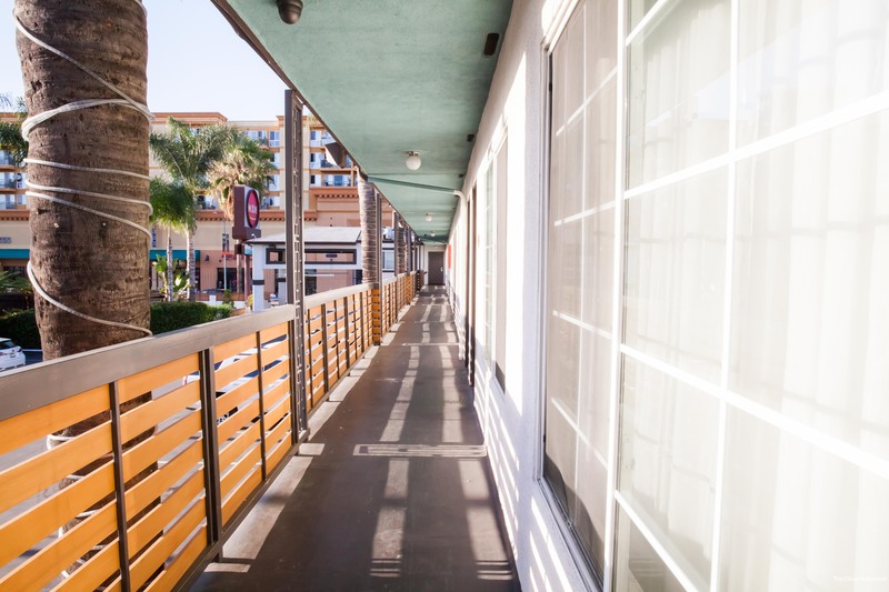 Фото The Dixie Hollywood