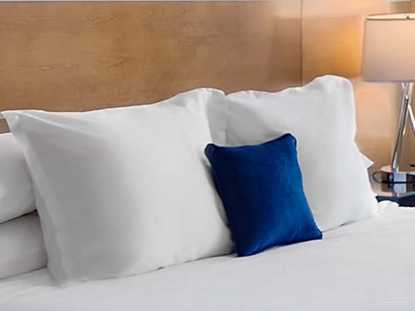 Фото Americas Best Value Sandman Inn