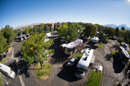 Гостиница Carson Valley Motor Lodge