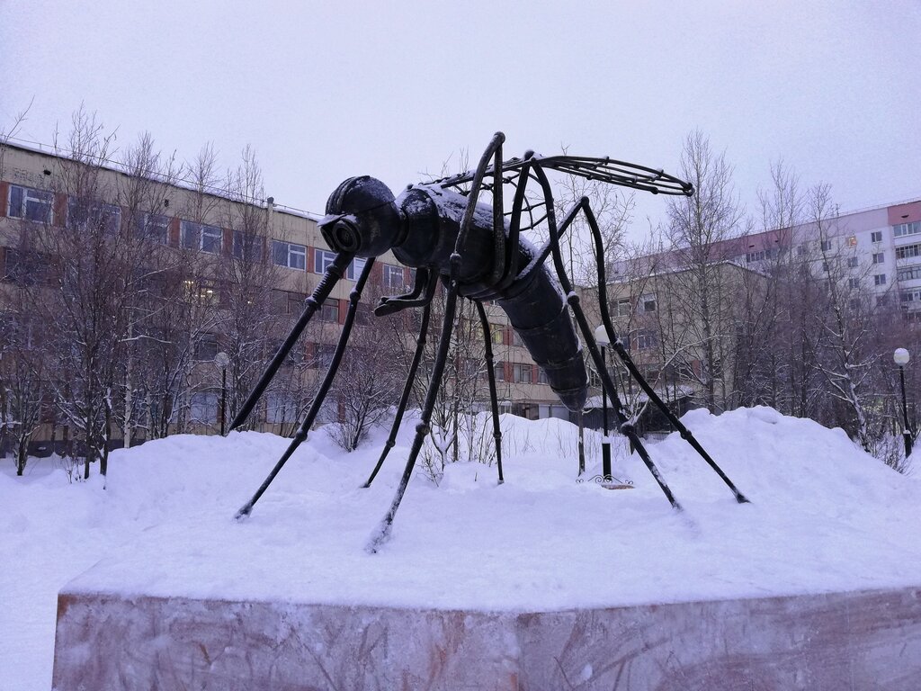 Комар республика коми усинск фото
