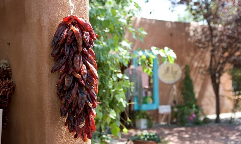 Фото Nativo Lodge