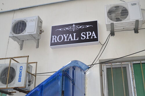 Қынаптағы пенистің әдемі суреттері