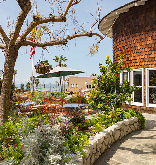 Фото Cardiff by the Sea Lodge