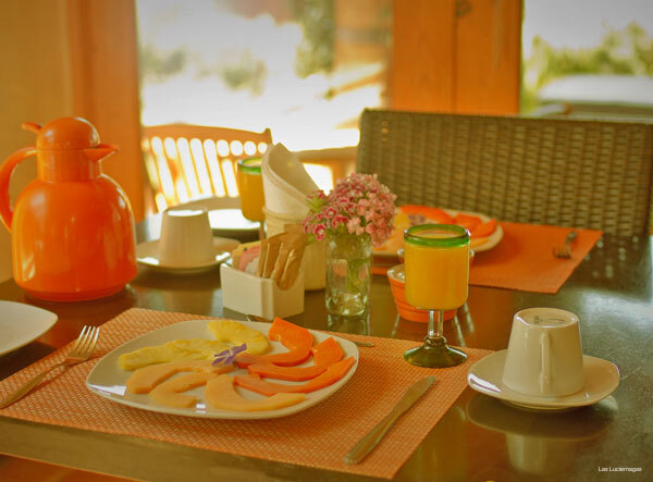 Фото Las Luciérnagas