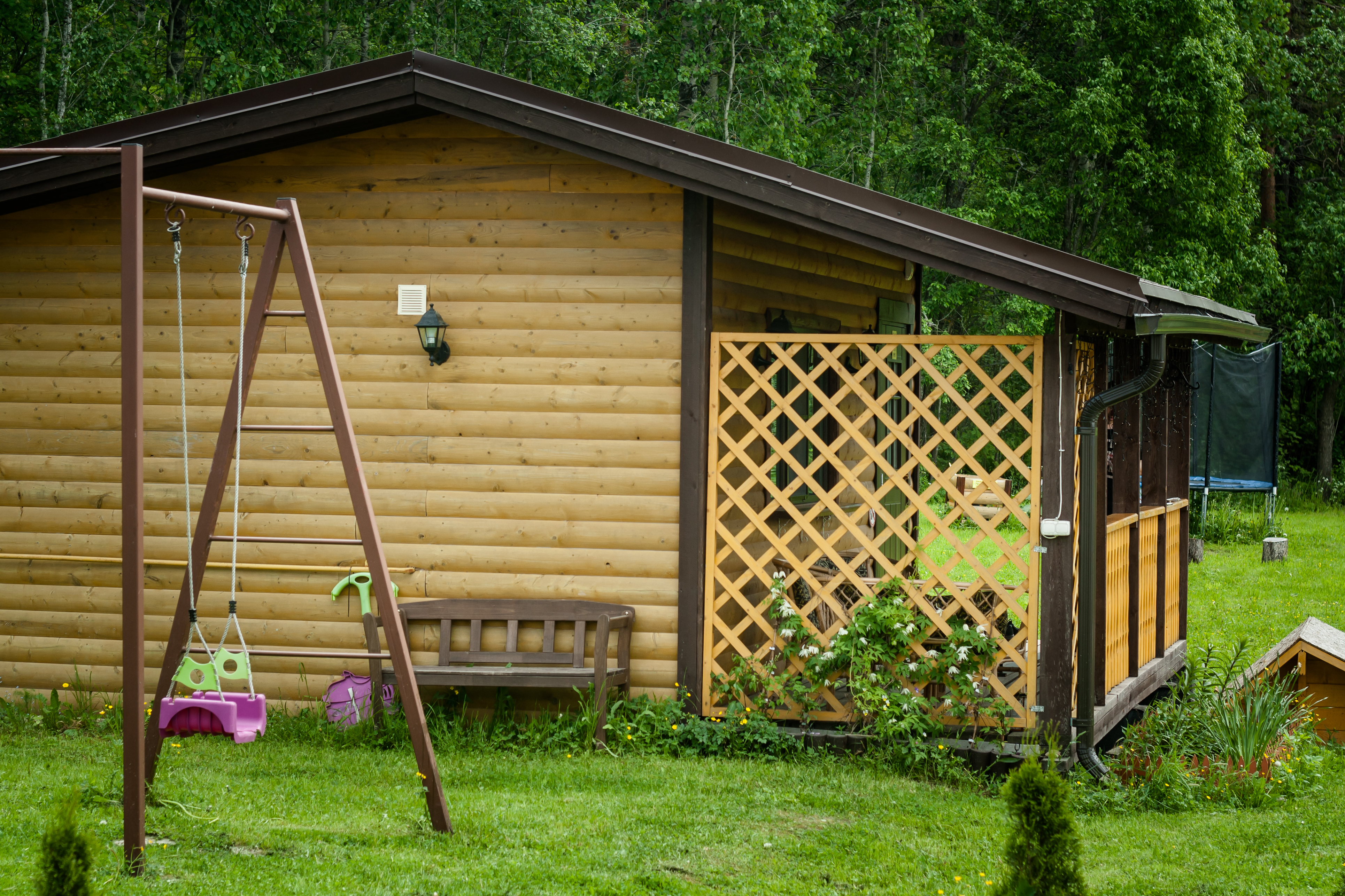 Фото Тихотут