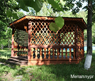 Фото Металлург