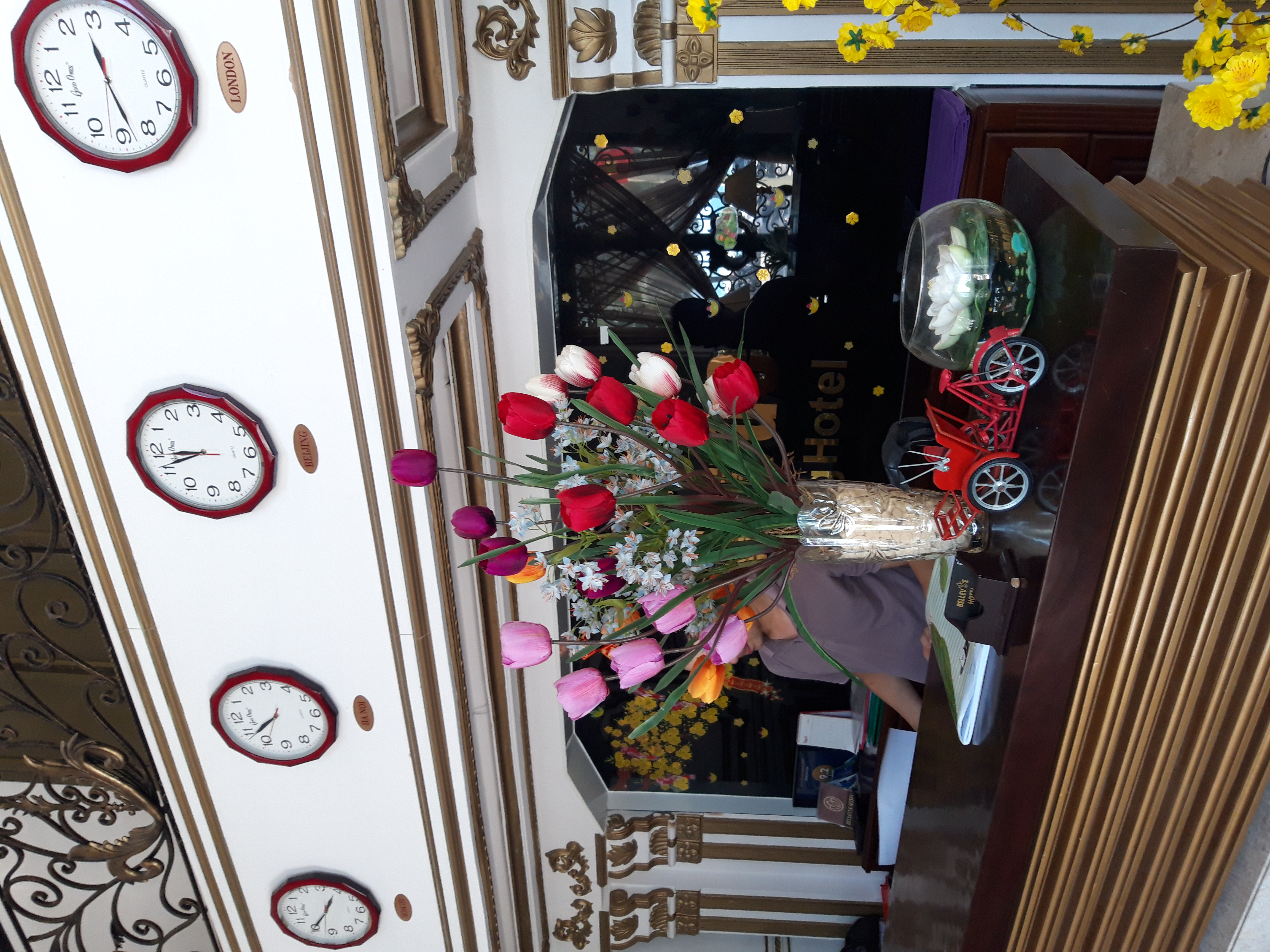 Фото Bellevue Hotel