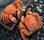 Икра и Краб (4-ya Prigorodnaya ulitsa, 5), fish and seafood