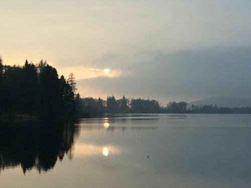 Гостиница Lodge at Lochside в Области Ангус