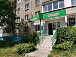 Imperiya Semyan (9th Pyatiletki Avenue, 15), seed shop