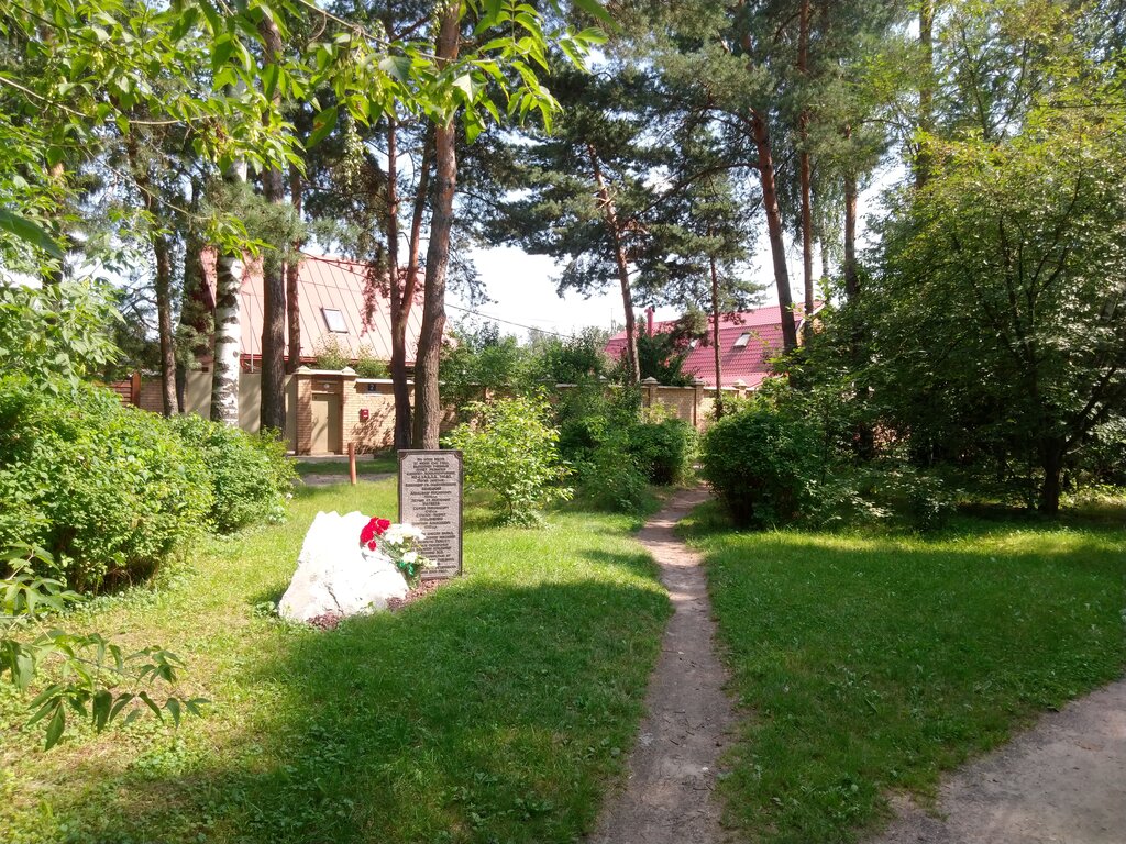 Memorial site, local landmark Памятный знак разбившемуся в 1942 году бомбардировщику, Balashiha, photo