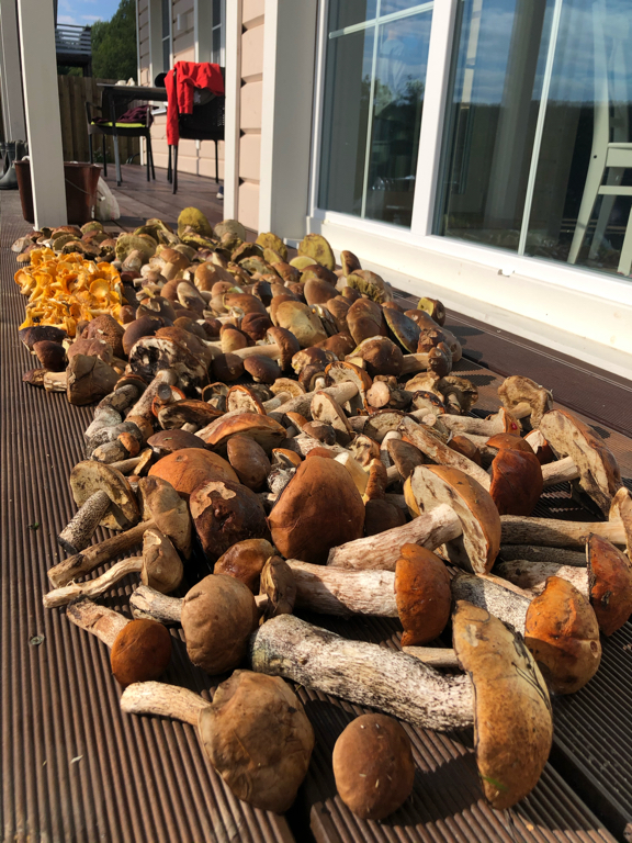 Фото Ялхаус