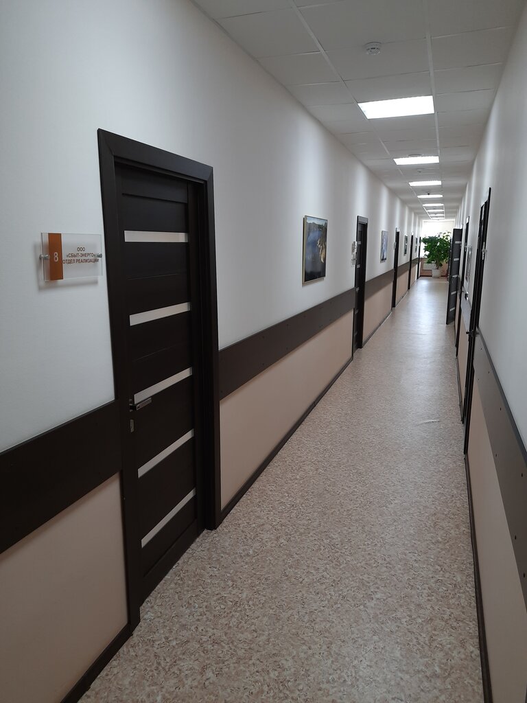 Energy supply Сбыт-энерго, Almetyevsk, photo