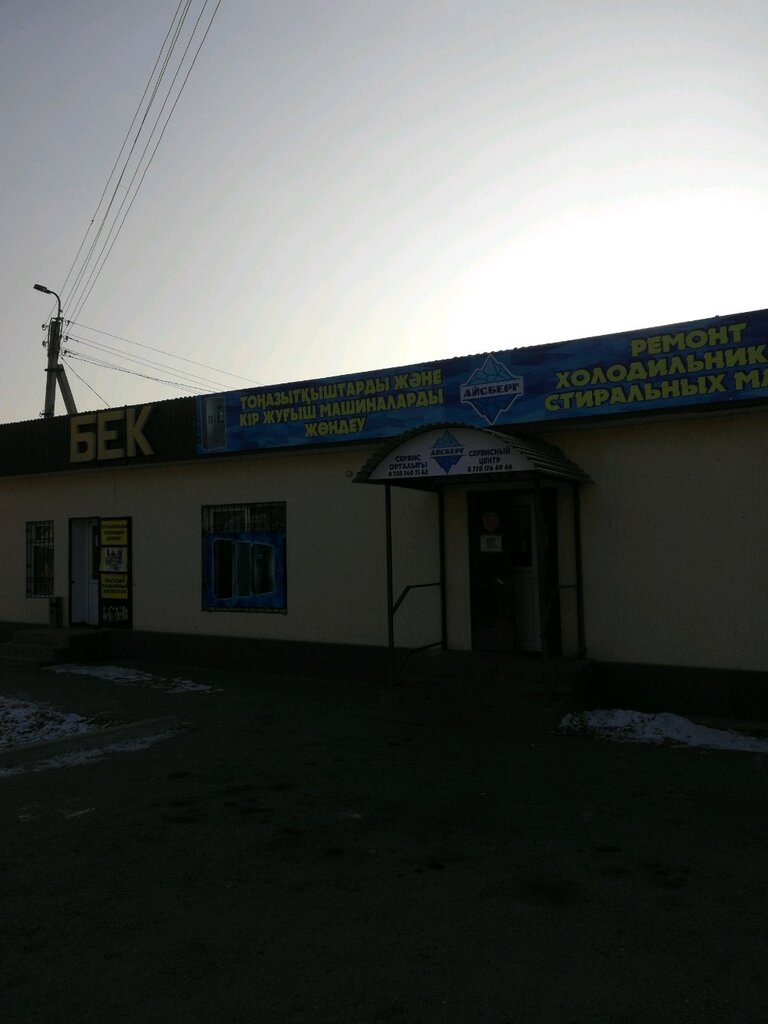 Industrial refrigerator repairs Iceberg, Taraz, photo