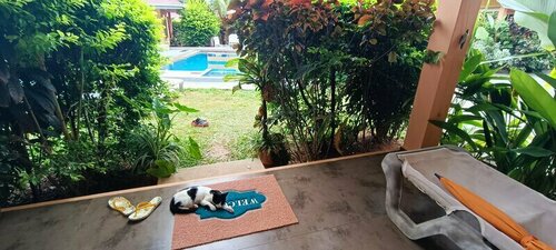 Гостиница Alha Villa на Сейшельских островах