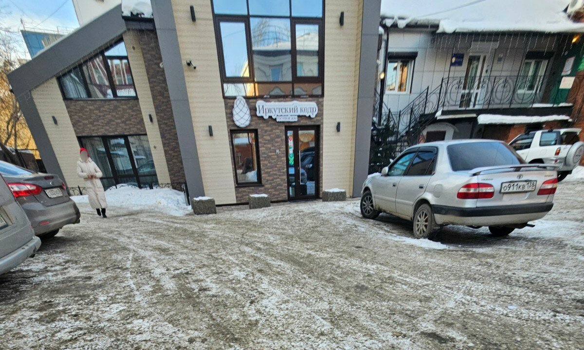 Фото Иркутский кедр