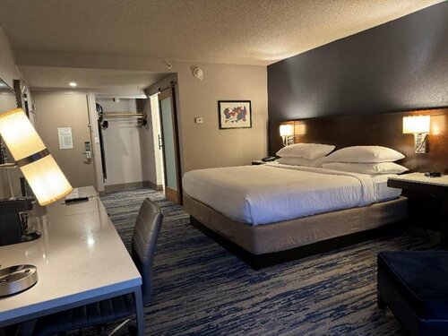 Гостиница Delta Hotels by Marriott Detroit Metro Airport в Кантоне