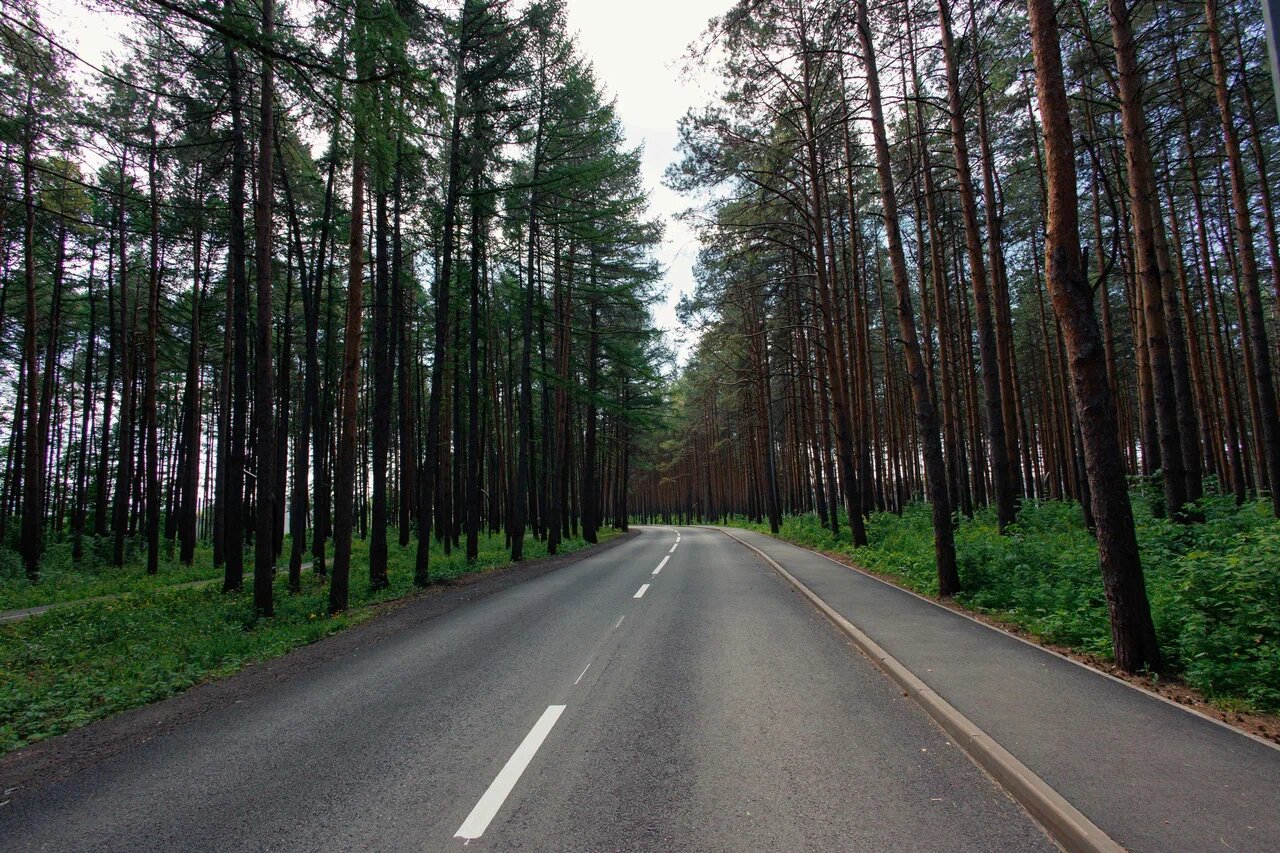 Радуга - 6