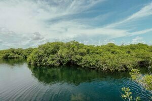 Гостиница Yaxchen Tulum Eco Lodge & Cenote в Тулуме