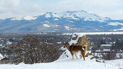 Семейный домик  фото 5