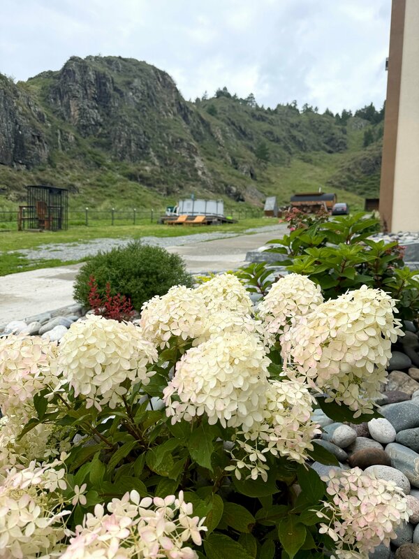 Горная усадьба Altaypic — фото 18