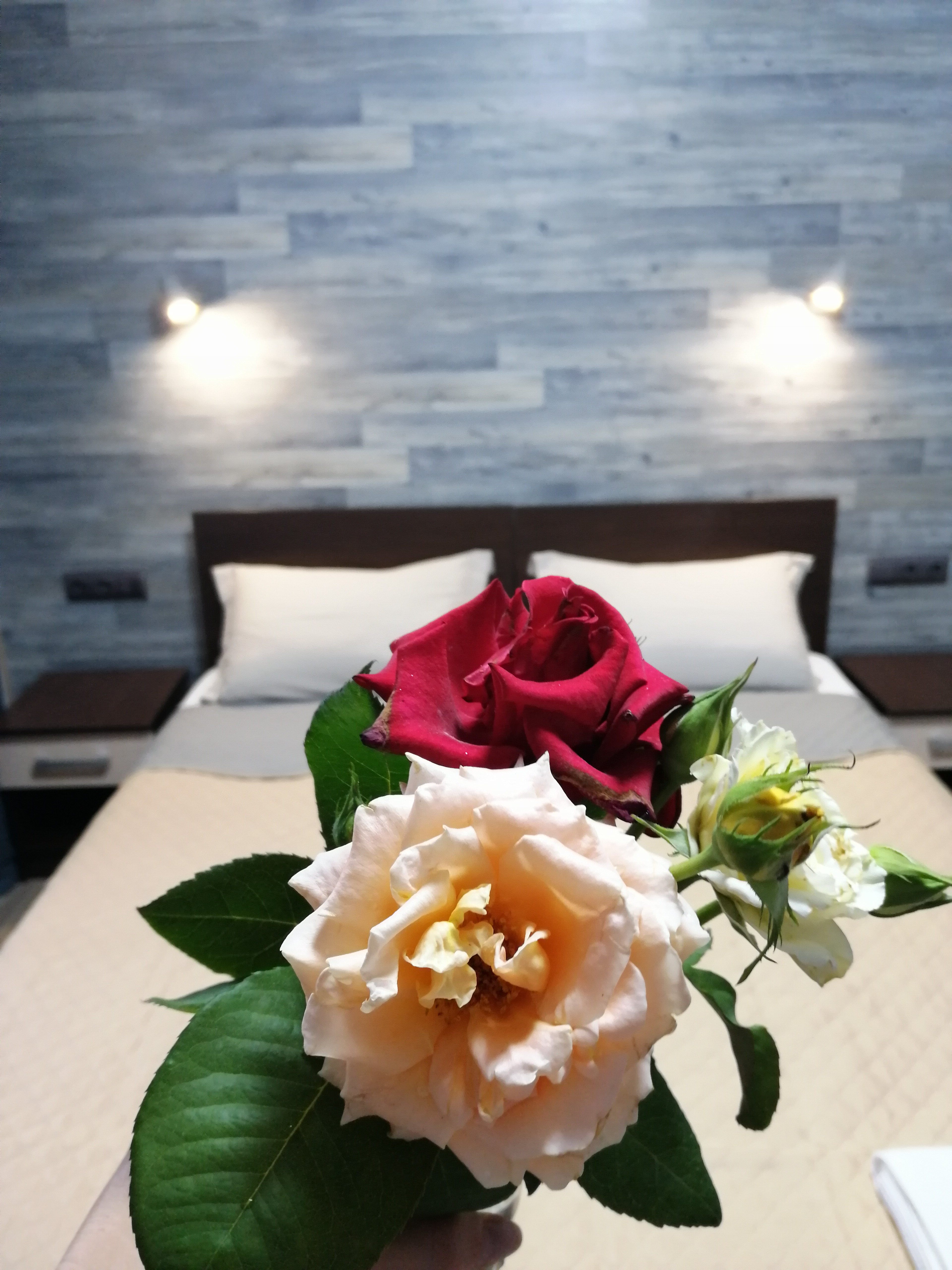 Фото Солнце