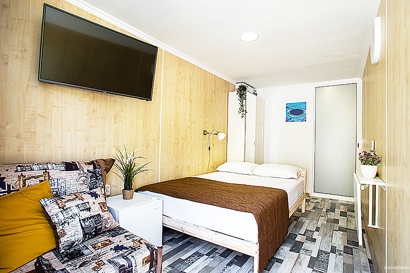 Фото Дублин Дельфин