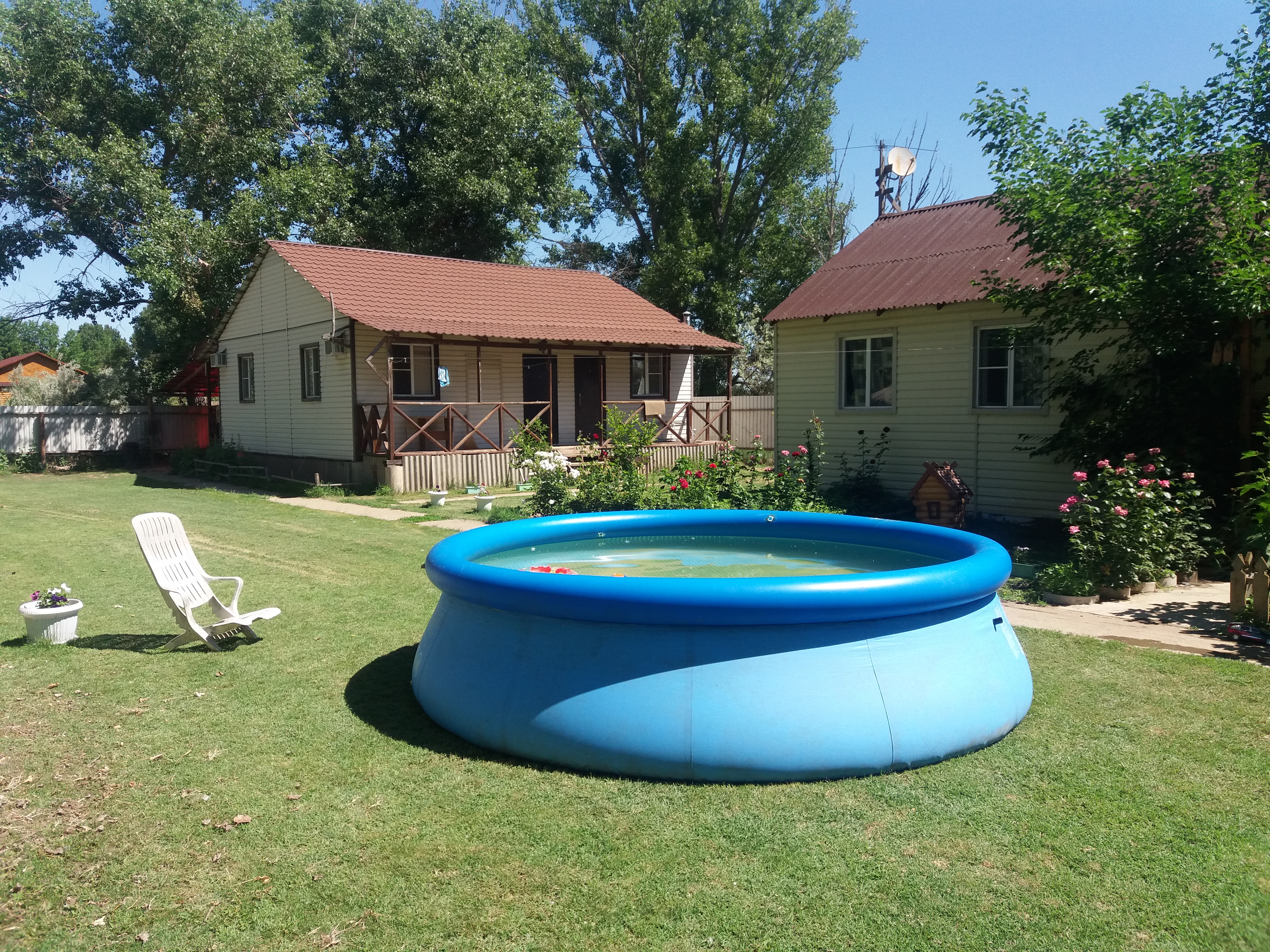 Фото Уваринка