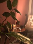 Mash Massage (Savushkina Street, 133к2) ، صالون تدليك