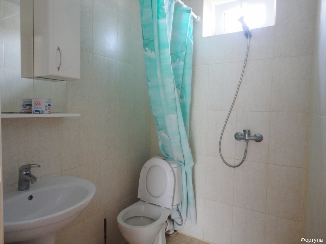 Фото Фортуна