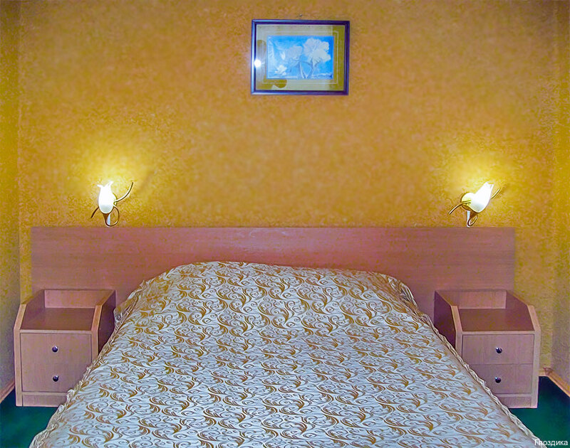 Фото Гвоздика