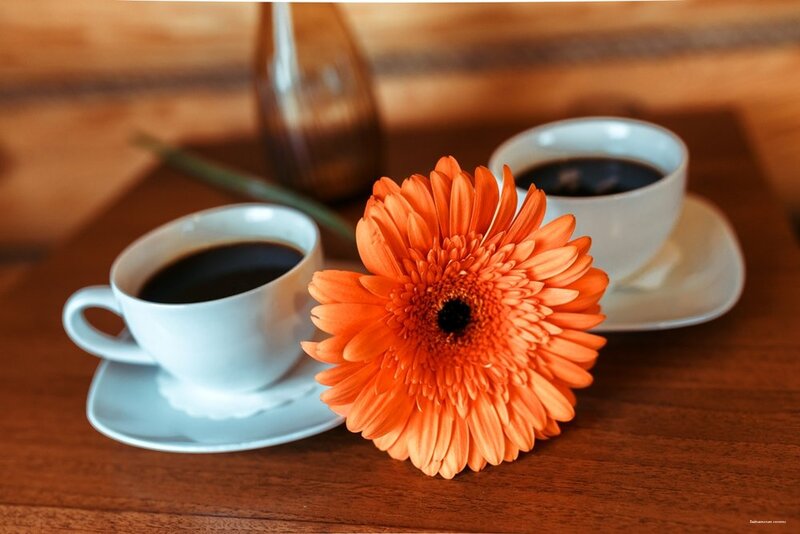 Фото Байкальские Сезоны