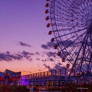 Фото Comfort Inn Tokyo Roppongi