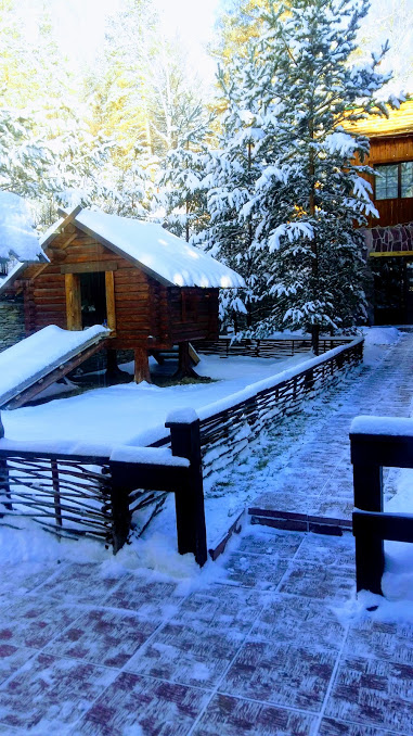 Фото Бунгало Клаб