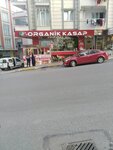 Organik Kasap (İstanbul, Esenyurt, 1953. Sok., 55), butcher shop