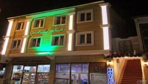 Гостиница Sarikamis Aras Otel