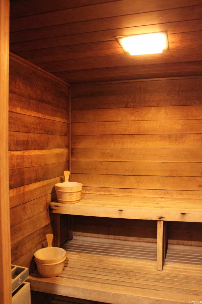 Фото The Grey Gull