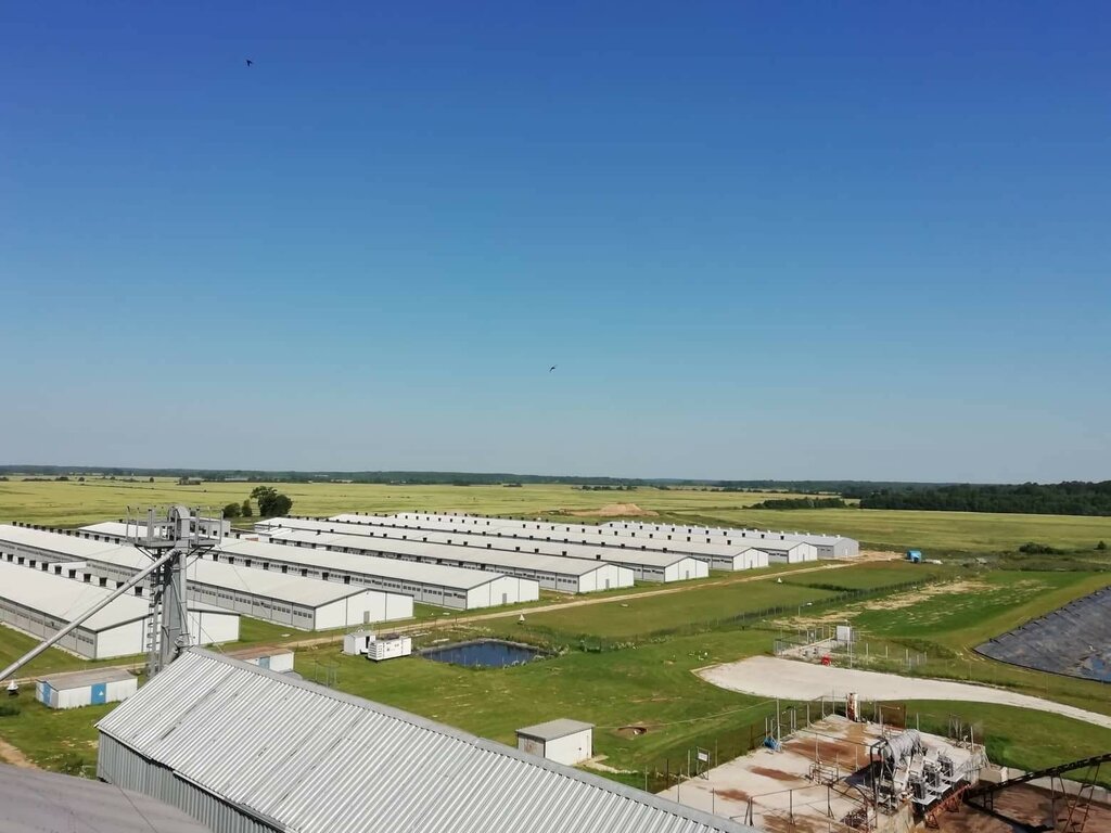 Intensive animal farming Ryurik-Agro, Rurik Agro, Pskov Oblast, photo